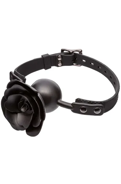 Forbidden Removable Rose Gag Gagball