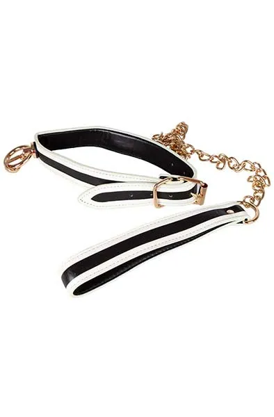 Glow-in-the-Dark Collar with Leash Halsband & koppel