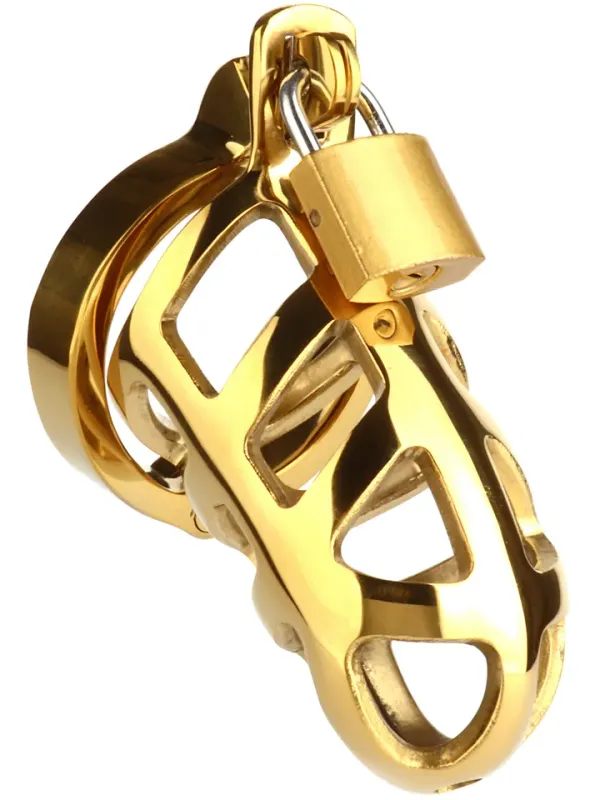 Mr. Steel Brutal Chastity Cage Gold Kyskhetsbur