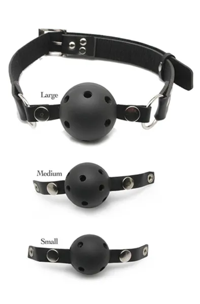 Pipedream Fetish Fantasy Ball Gag Training System Gagball