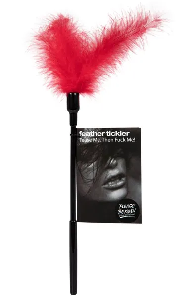 Tease Me Then Fuck Me Feather Tickler Red Tickler