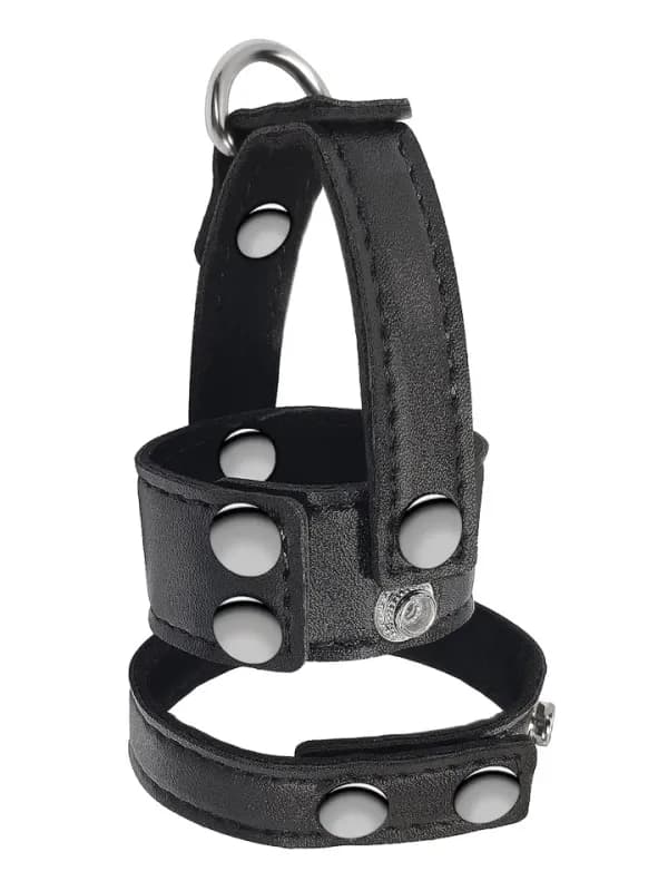 Wild Play Cock & Ball Strap Penis & pungring