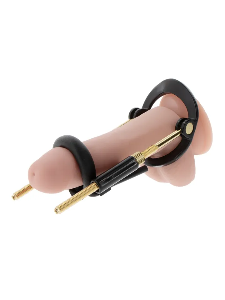 Hidden Desire: Fusion X, Penis Growth Training Basic Set