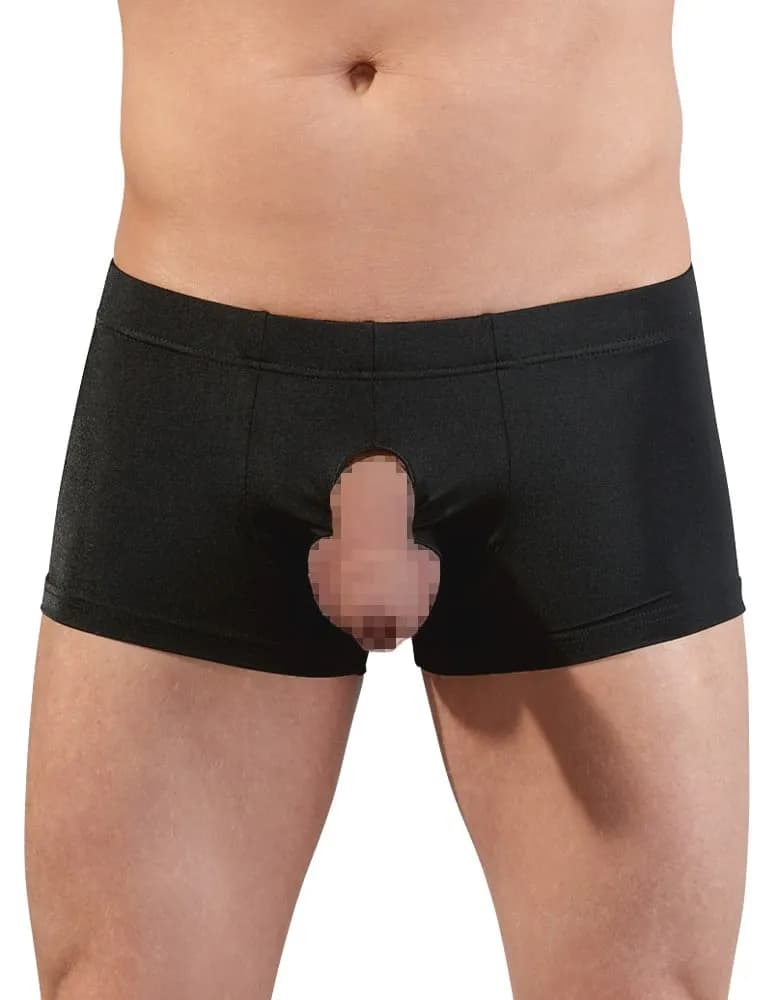 Showmaster Boxer Small