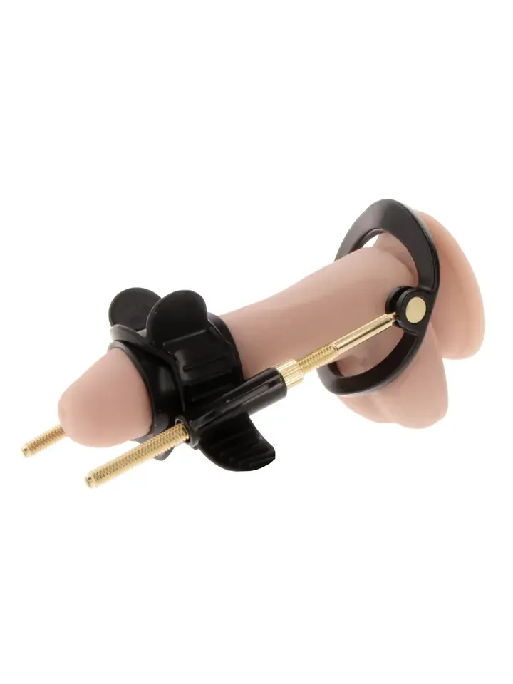 Hidden Desire: Fusion X, Penis Growth Training Comfort Set