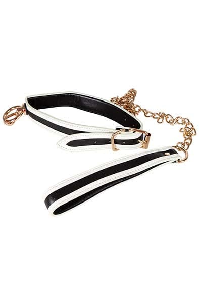 Glow-in-the-Dark Halsband med Koppel - Vit/Svart/Guld
