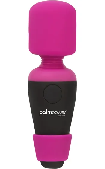 Palm Power Bullet