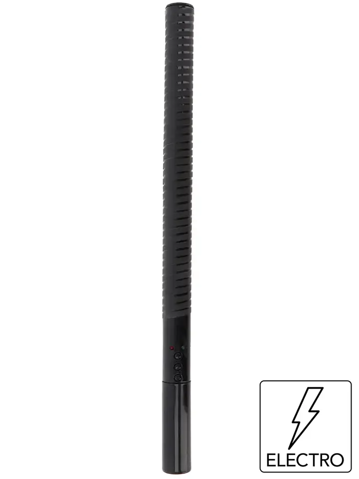 Hidden Desire Extreme: Electro Baton