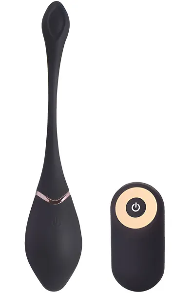 Toyz4Lovers: Power Pocket, Dirty Mind Vibrating Egg with Remote