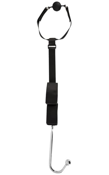 Bondage Anal Hook