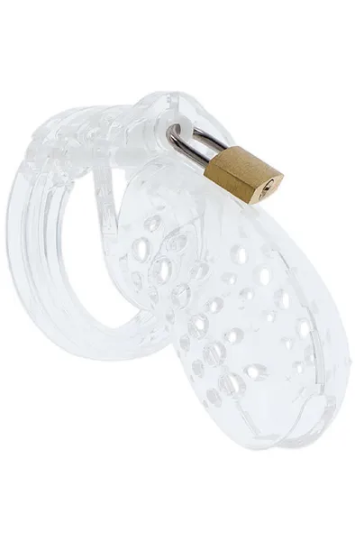 Hidden Desire: Extreme Chastity Acrylic Cock Cage